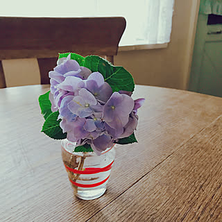 雨の日の楽しみ方/梅雨/庭の花を飾る/紫陽花/古い家...などのインテリア実例 - 2019-06-18 15:27:25