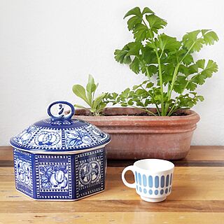 cookies /cookie jar/blue/キッチン/plants...などのインテリア実例 - 2017-03-31 17:52:27