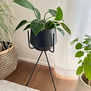 ナチュラル/カフェ風/モノトーン/#観葉植物/#プチプラ...などのインテリア実例 - 2021-10-05 10:50:33