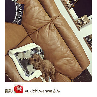 yukichi.wanwaさんの実例写真