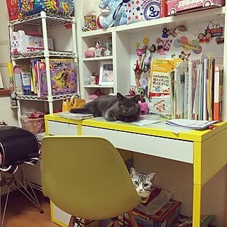 机/ヴィトラ社製/むすめの部屋/ねこのいる日常/ねこばかりですいません...などのインテリア実例 - 2016-10-22 09:48:59