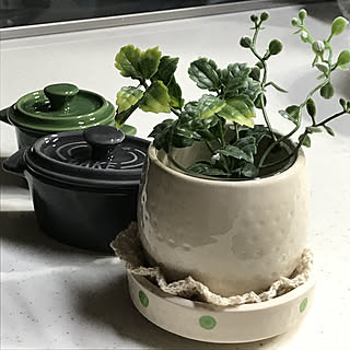 机/茶碗蒸し器/植木鉢/雑貨/セリアのインテリア実例 - 2018-06-16 23:25:19