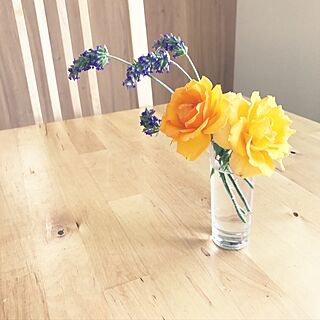 机/花が好き/癒されたい♡/植物のインテリア実例 - 2017-06-10 12:15:13