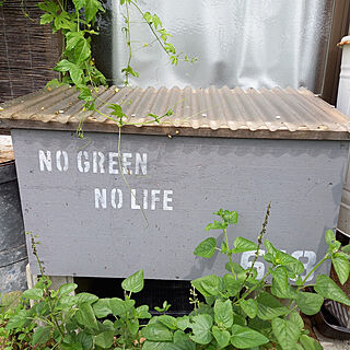 ゴミを減らす/家庭菜園/ガーデニング/いつもいいねありがとうございます♡/NO GREEN NO LIFE...などのインテリア実例 - 2021-09-12 21:57:29