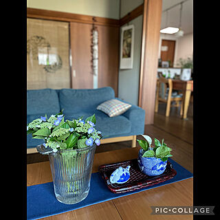 Blue &White/初夏/植物のある暮らし/実家の紫陽花/逢...などのインテリア実例 - 2022-06-09 07:09:35