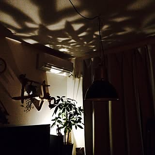 壁/天井/植物/一人暮らし/夜のインテリア実例 - 2015-10-31 10:25:45