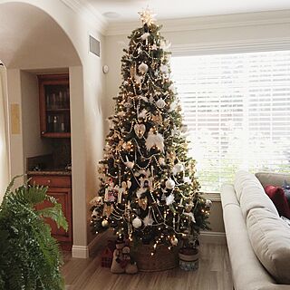 2015/christmas tree/living roomのインテリア実例 - 2015-12-12 00:02:28