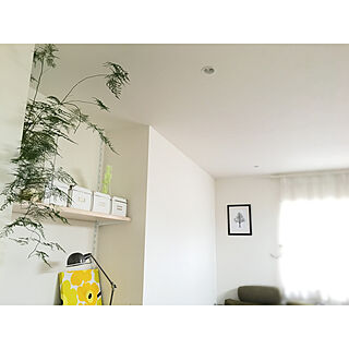 棚/アスパラガス/ポスター/IKEA/植物のある暮らしのインテリア実例 - 2017-08-05 08:57:58