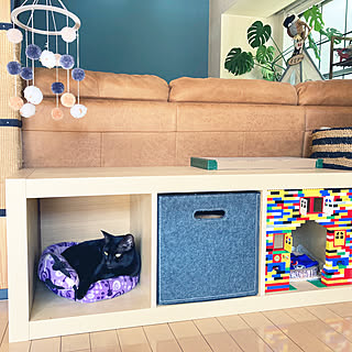 棚/LEGO/IKEA/猫/癒し...などのインテリア実例 - 2023-11-18 09:41:50