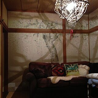 壁/天井/植物/DIY/リメイク/ソファ...などのインテリア実例 - 2013-11-13 01:50:47