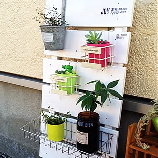 観葉植物 すのこ Diyのインテリア 手作りの実例 Roomclip ルームクリップ