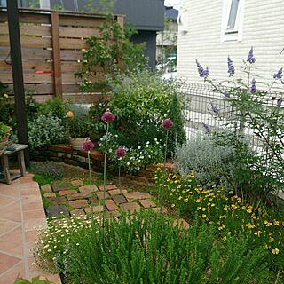 ベッド周り/お庭/お花が好き/花壇/グリーンのある暮らし...などのインテリア実例 - 2017-06-29 17:14:44