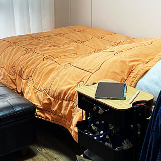 ベッド周り/ベッドはシングルで枕は超特大/枕難民/モニター応募投稿のインテリア実例 - 2024-04-04 13:13:02