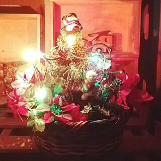 クリスマス/小さなツリー/ライト点灯/ポインセチア フェイク/棚のインテリア実例 - 2018-11-29 20:20:59