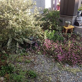 玄関/入り口/庭/植物/花、緑のインテリア実例 - 2013-10-27 16:02:43