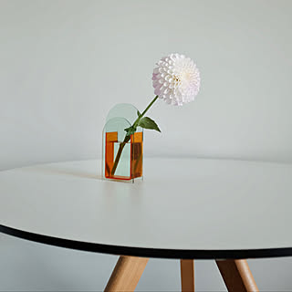 食卓/お花のある暮らし/ホワイト/シンプルが好き/おうち時間...などのインテリア実例 - 2020-08-07 00:48:35