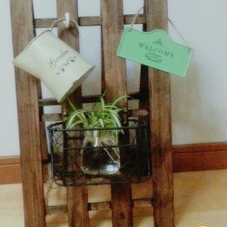 玄関/入り口/すのこDIY/セリア♡/ダイソー♡/観葉植物♡...などのインテリア実例 - 2016-09-14 23:34:13