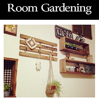 壁/天井/RoomGardening/RCの出会いに感謝♥/最近画像が悪くなるのが悩み…/eriちゃんプラハン♡...などのインテリア実例 - 2014-11-30 21:13:01