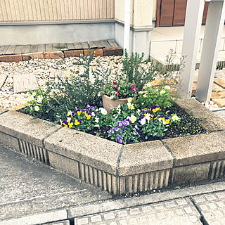 北向き玄関/花壇寄せ植え/砂利の小道/北向き花壇/北向きの玄関を明るくしたい...などのインテリア実例 - 2020-03-15 14:35:00