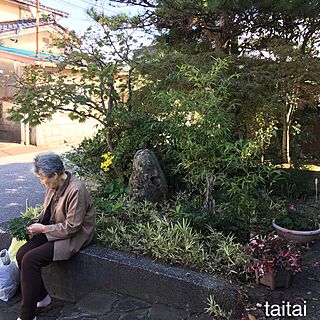 玄関/入り口/おすそ分けのお花/花ニラ/ムスカリ/はつゆきかずら...などのインテリア実例 - 2016-10-30 20:09:49