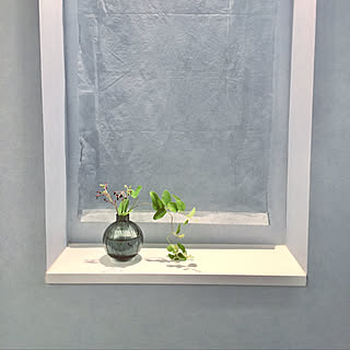 ニッチディスプレイ/トイレインテリア/庭の草花/花びん/植物のある暮らし...などのインテリア実例 - 2021-07-28 17:29:10