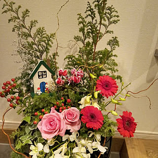 玄関/入り口/クリスマス/シクラメンの鉢植え/ヒムロ杉/薔薇が好き...などのインテリア実例 - 2020-12-05 07:47:07