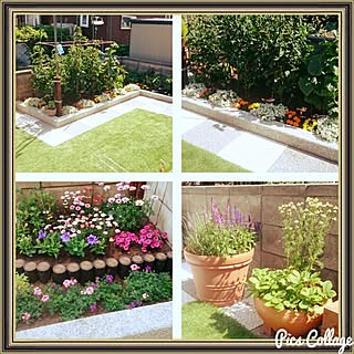 小さな畑、花壇など作りませんか！DIYで楽しい菜園楽しい植木