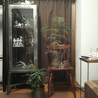 部屋全体/BRIWAX/DIY/サビ塗装/観葉植物...などのインテリア実例 - 2016-09-06 01:13:49