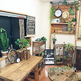 100均 水耕栽培のおしゃれなアレンジ 飾り方のインテリア実例 Roomclip ルームクリップ