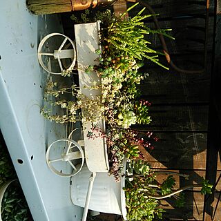 玄関/入り口/古道具ladybird/antique/和風/観葉植物のインテリア実例 - 2016-07-19 16:19:12