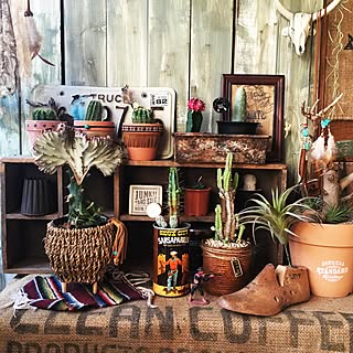 ネイティヴアメリカンのおしゃれなインテリア・部屋・家具の実例