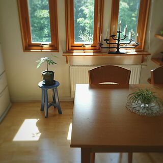 部屋全体/スウェーデンハウス /北欧/古いもの/IKEA...などのインテリア実例 - 2016-09-04 23:01:45