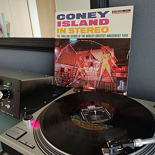 レコードのある生活/古いレコード/coney island/遊園地のインテリア実例 - 2021-01-17 12:49:43
