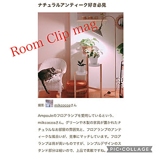 猫たちと暮らす/スタンドライト/アンプール照明/記録用なのでコメントお気遣いなく♡/RoomClipの出逢いに感謝♡...などのインテリア実例 - 2023-08-12 21:12:46