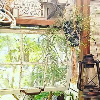 NO GREEN NO LIFE/古道具/植物のある暮らし/アンティーク/アトリエ小屋...などのインテリア実例 - 2017-05-15 20:31:28