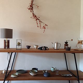 棚/照明/TERRA/chemex/ミナペルホネン...などのインテリア実例 - 2015-11-03 15:15:59