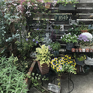 花のある暮らし+..・* ❁/小さな庭の小さな花壇/いつもいいねありがとうございます♡/NO GREEN NO LIFE/DIY板壁...などのインテリア実例 - 2019-04-25 17:17:29