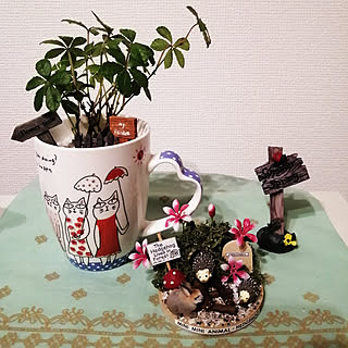 リビング/植物のある暮らし/観葉植物/雑貨/ミニチュア雑貨...などのインテリア実例 - 2021-03-12 22:53:20