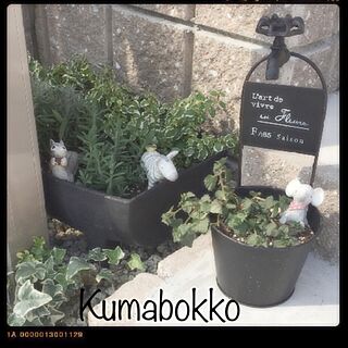 玄関/入り口/植物/それいけパワービルダー/6月にクリマに出るよ/くまぼっこでアメブロ書いてます。...などのインテリア実例 - 2015-05-11 15:35:48