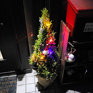 玄関/入り口/クリスマス/クリスマスツリー/ゴールドクレスト/ゴールドクレストツリー...などのインテリア実例 - 2018-12-25 18:22:40