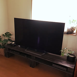 ねこのいる暮らし/築50年弱/狭小住宅/ねこのいる風景/テレビボードDIY...などのインテリア実例 - 2020-08-01 10:25:58