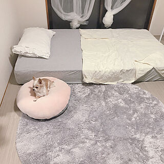 ベッド周り/Francfranc/IKEA/Nクール寝具/ニトリ...などのインテリア実例 - 2018-07-03 20:08:54