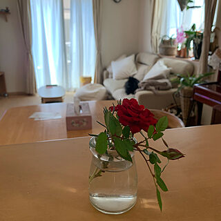 プリンの瓶/花のある暮らしを目指す/お花が好き/育てた花/リビングのインテリア実例 - 2021-04-26 10:43:26