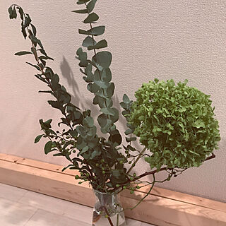 お花のある暮らし/廊下の飾り/ホワイト/廊下/IKEAのインテリア実例 - 2017-09-06 12:09:49