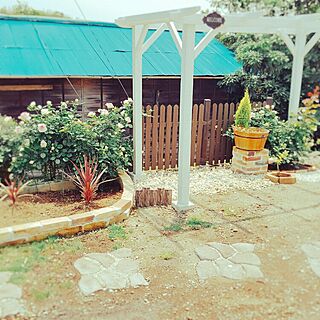 玄関/入り口/garden/DIY/ｺﾙｼﾞﾘﾈ　ﾚｯﾄﾞｽﾀｰ/ﾊﾟｰｺﾞﾗ...などのインテリア実例 - 2016-05-30 21:30:20