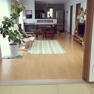 部屋全体/再投稿です/北欧カラー/ラグマット/楽天で買ったもの...などのインテリア実例 - 2017-06-20 15:40:52