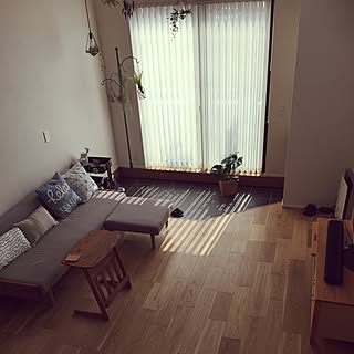 部屋全体/植物/フェイクグリーン/土間/シンプルナチュラル...などのインテリア実例 - 2017-06-16 08:19:52