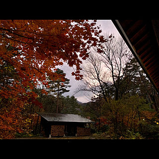 夕焼け/庭の眺め/お気に入りスペース/玄関先/おうち時間を楽しむ...などのインテリア実例 - 2021-11-05 18:51:02