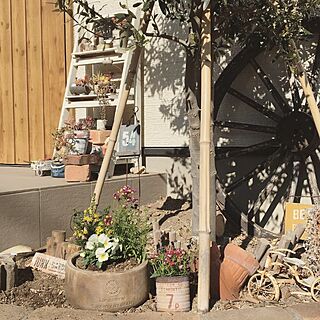 玄関/入り口/グリーンのある暮らし/多肉植物/アンティーク車輪/アンティーク...などのインテリア実例 - 2017-01-22 13:50:20