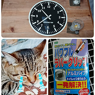 部屋全体/築40年以上鉄筋アパート/賃貸でも諦めない！/ねこと暮らす/いいね&コメント&フォロー感謝♡...などのインテリア実例 - 2018-09-05 22:18:45